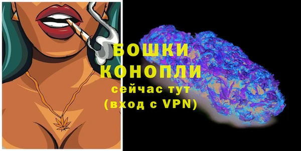 СК Инта