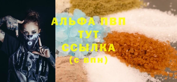 СК Инта