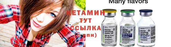 СК Инта