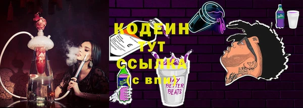 PSILOCYBIN Инсар