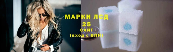 СК Инта