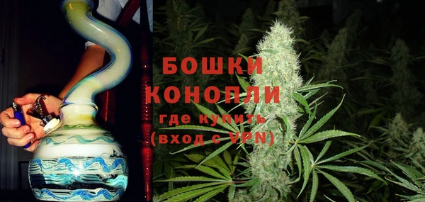 СК Инта