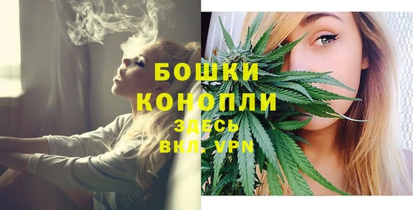 PSILOCYBIN Инсар