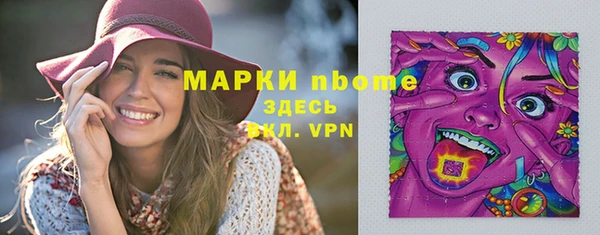 СК Инта